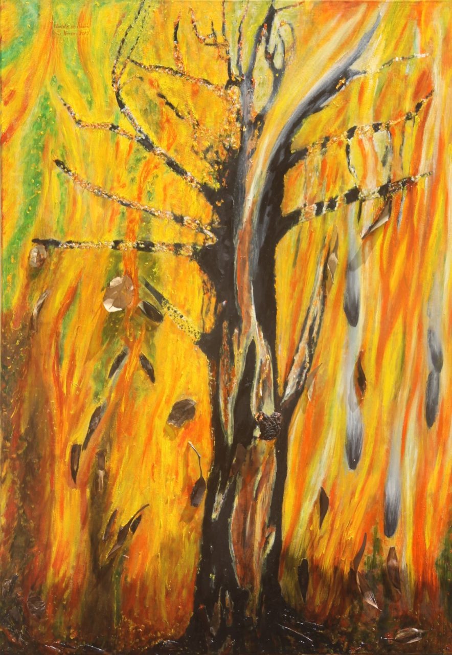 floresta em chamas